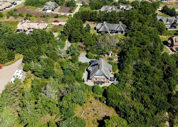 Bv224-blavand-horns-rev-11 *